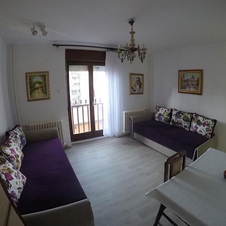 Violet Star Apartment Novi Sad Eksteriør billede