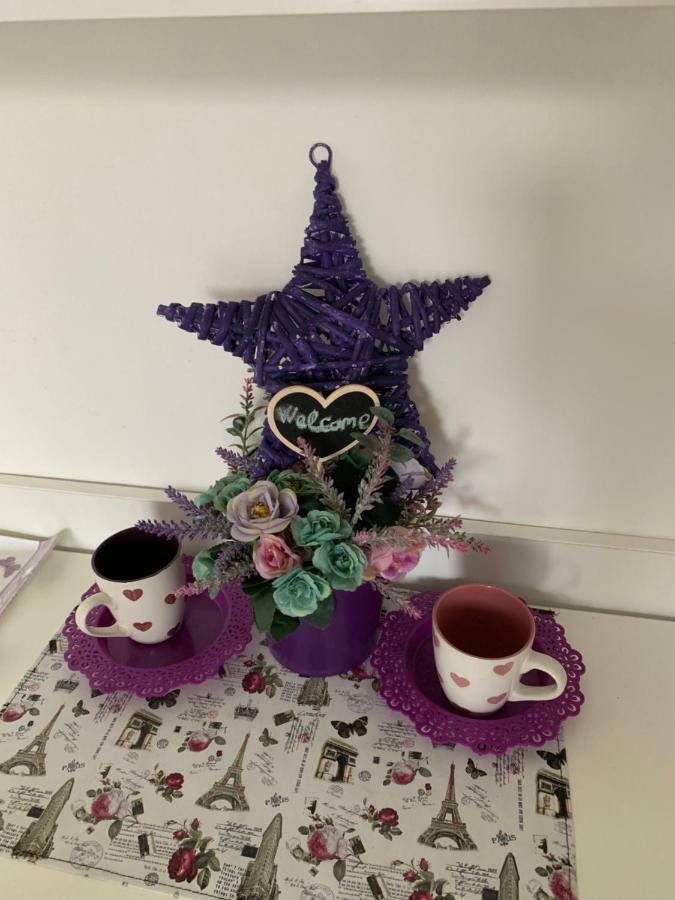 Violet Star Apartment Novi Sad Eksteriør billede