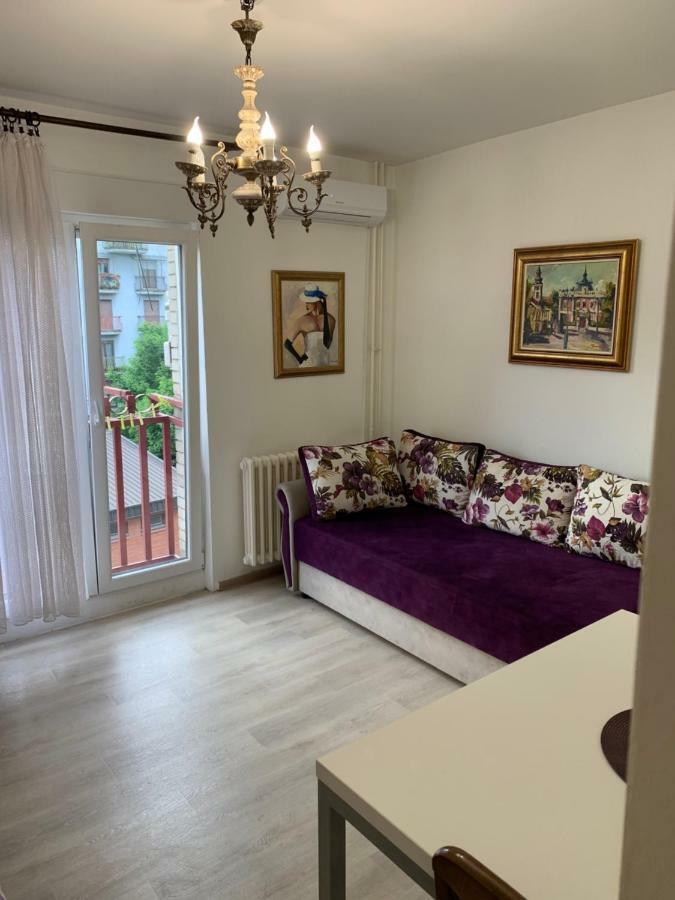 Violet Star Apartment Novi Sad Eksteriør billede