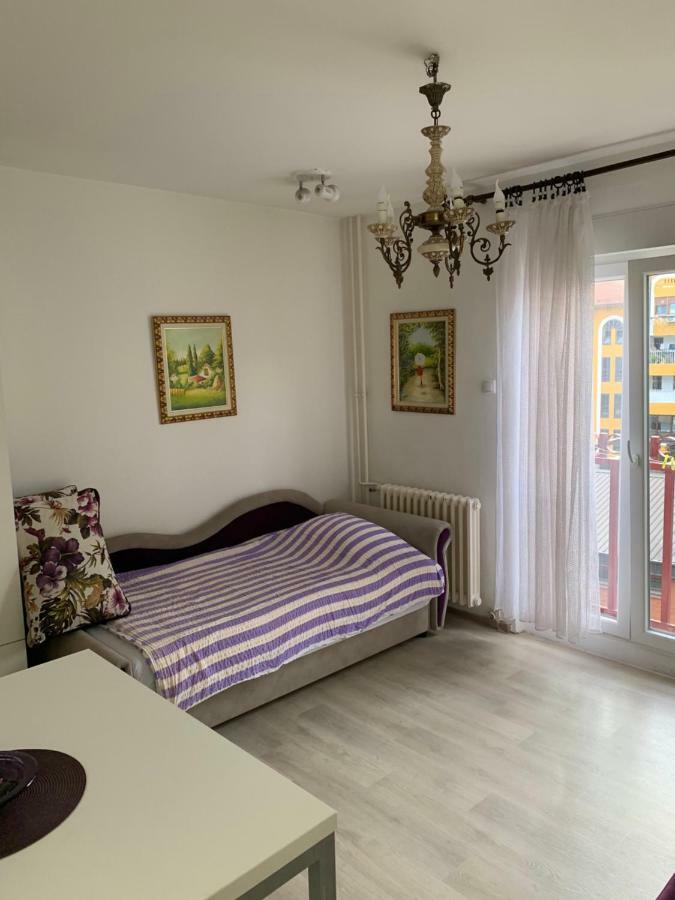 Violet Star Apartment Novi Sad Eksteriør billede