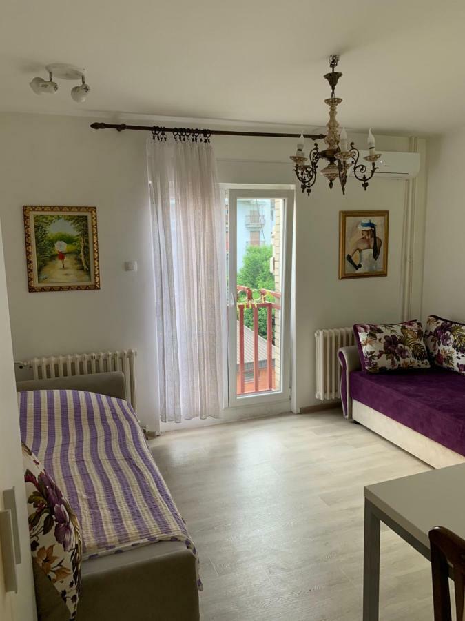 Violet Star Apartment Novi Sad Eksteriør billede